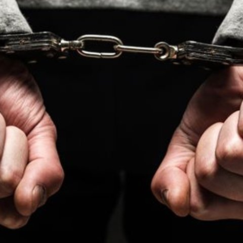 Σκύλοι δάγκωσαν δύο μικρά παιδιά και 25χρονη-Χειροπέδες στους ιδιοκτήτες τους