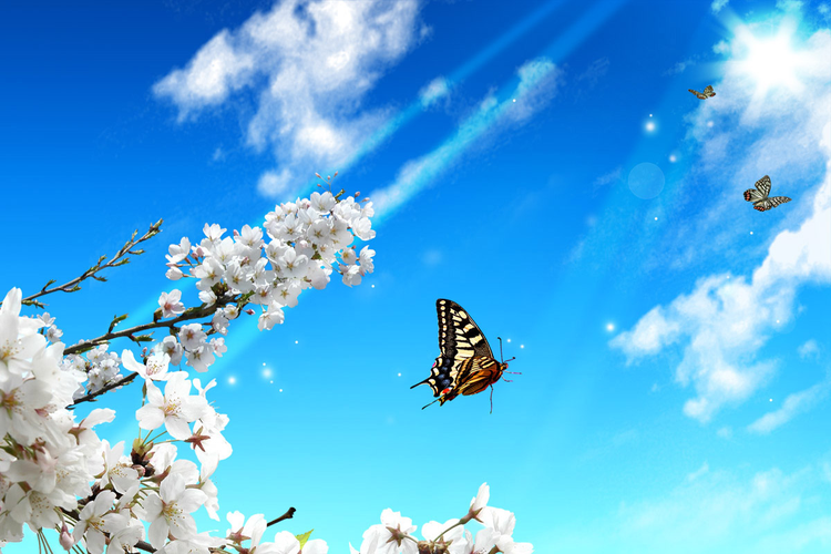 217f8135-f824-4d3a-a93c-71677b2a8d48.jpg