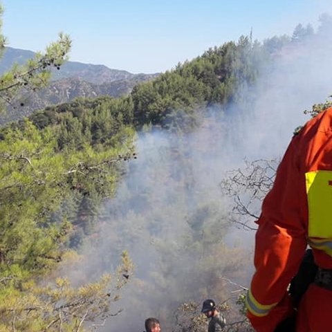 Φωτιά μετά από κεραυνό στην Τροοδίτισσα-Κάηκε άγρια βλάστηση