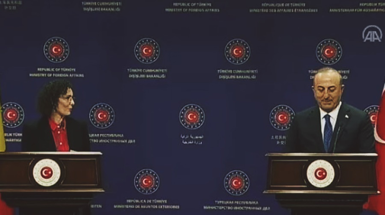 fff961e8-cda9-49bc-b054-de95b0eaa513.jpg