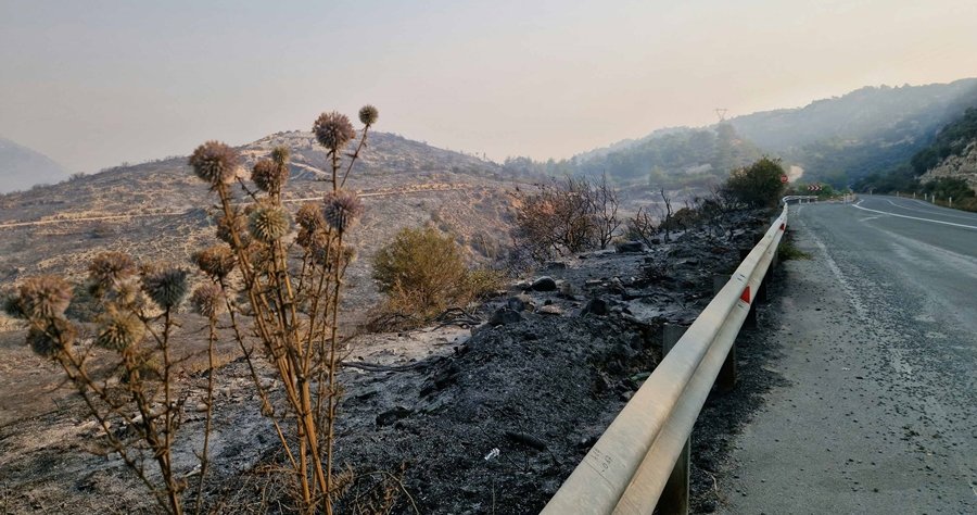 Χωρίς ηλεκτροδότηση δεκαέξι χωριά λόγω της φονικής πυρκαγιάς-«Πολύ δύσκολο το έργο»