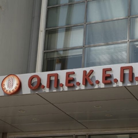 Ενοχή για τους επτά προτείνει η Εισαγγελέας στην πρώτη δίκη για το σκάνδαλο ΟΠΕΚΕΠΕ