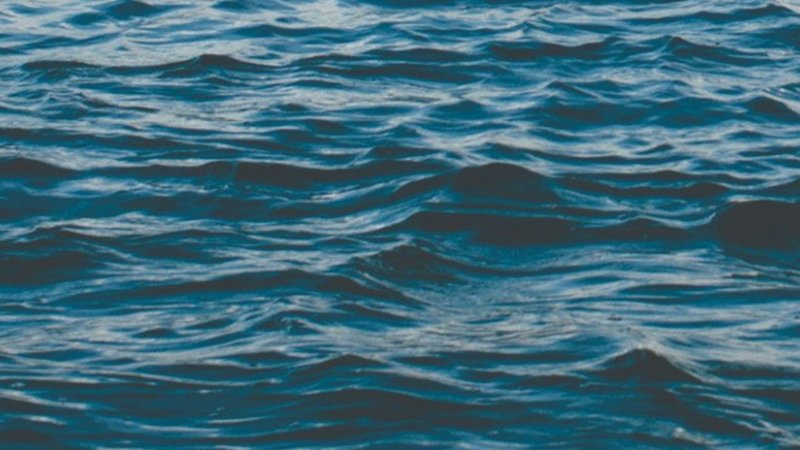 sea3242
