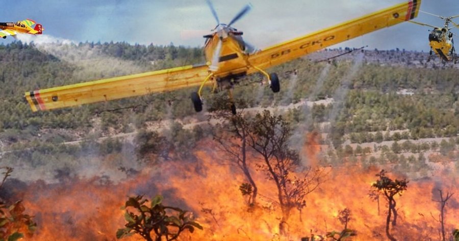 Απαντά στην Ελεγκτική το Τμήμα Δασών-«Με υπευθυνότητα εφαρμόζεται η νομοθεσία»