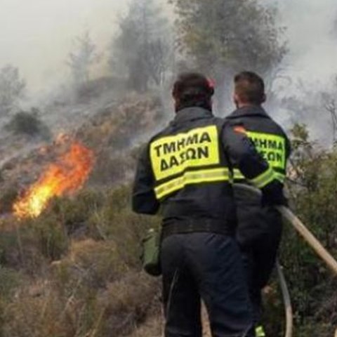 Άγρια βλάστηση κατέκαψε φωτιά στην Πέγεια