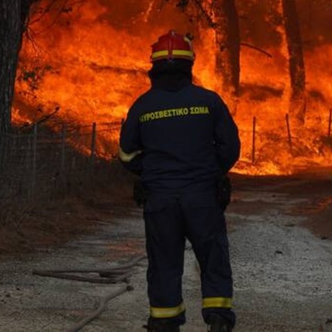 Ανείπωτη τραγωδία στην Ελλάδα-Εντοπίστηκαν δεκαοκτώ απανθρακωμένοι μετανάστες στο δάσος της Δαδιάς