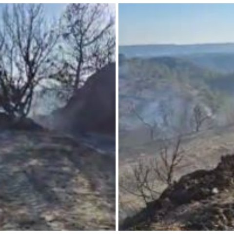 Υπό έλεγχο η πυρκαγιά μεταξύ Λιμνάτη και Λάνειας-Κατέκαψε επτά εκτάρια γης
