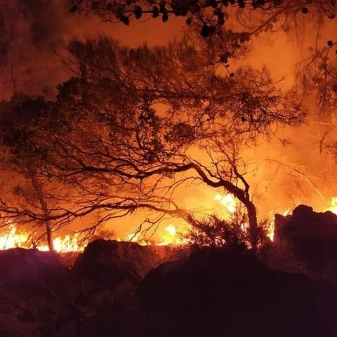 Αυτά είναι τα μέτρα της Ελληνικής Κυβέρνησης για την Ρόδο μετά τις πυρκαγιές