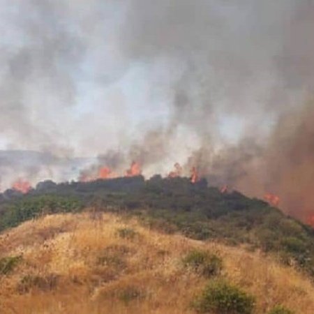 Αυξημένες οι πυρκαγιές το 2025, μικρότερη όμως η καμένη έκταση-Μία στις τέσσερις φωτιές από εμπρησμό