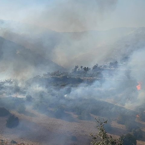 LIVE: Αναζωπύρωση στην Απεσιά, σπεύδουν δυνάμεις στο σημείο