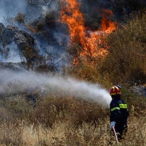 Χαμηλή άγρια βλάστηση και αποκαλάμες κατέκαψε πυρκαγιά στην Αναρίτα