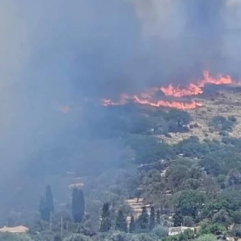 Συνεχίζεται η μάχη με τη φωτιά στην Άνδρο-Ενισχύσεις από την Αθήνα, μήνυμα για εκκένωση οικισμών