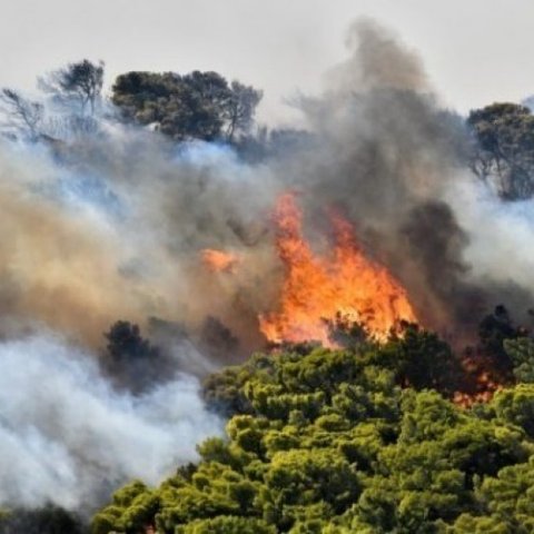 Δίπλα στους πυρόπληκτους ο Κλάδος Πάφου του Κυπριακού Ερυθρού Σταυρού