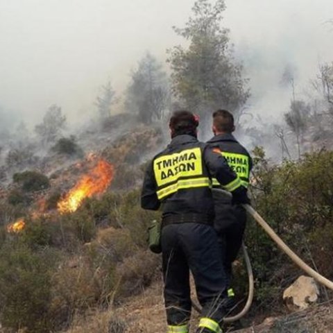 Κατέκαψε άγρια βλάστηση η φωτιά στην Ίνεια-Διερευνώνται τα αίτια