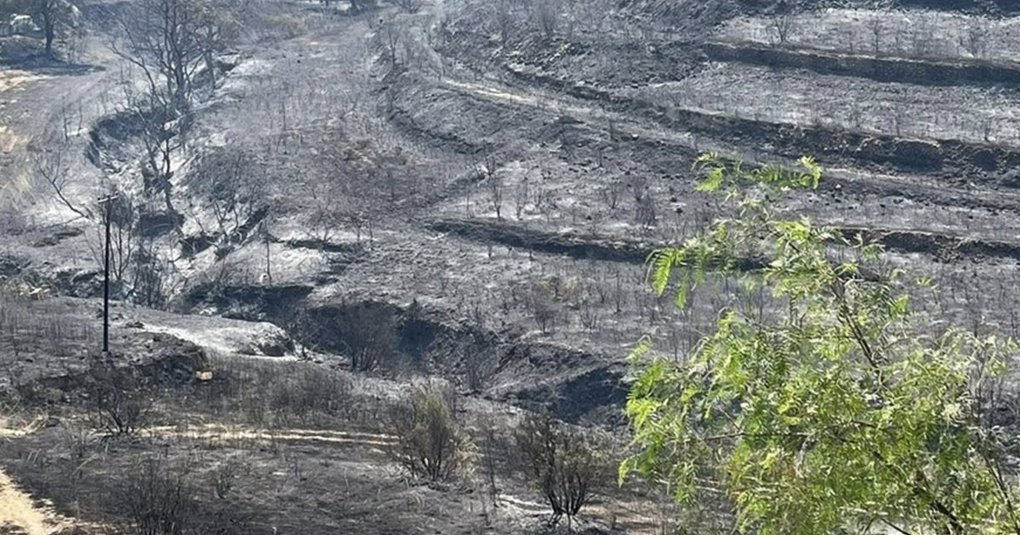 Αρχίζει η καταγραφή ζημιών σε καλλιέργειες 28 κοινοτήτων-Συγκάλεσε σύσκεψη η Παναγιώτου Αρχίζει η καταγραφή ζημιών σε καλλιέργειες 28 κοινοτήτων-Συγκάλεσε σύσκεψη η Παναγιώτου