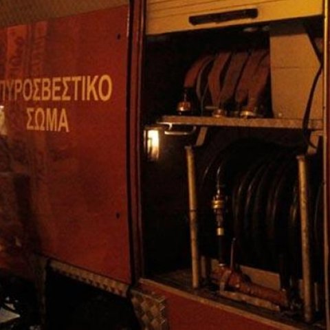Στις φλόγες υποστατικό με ζώα στην Ευρύχου