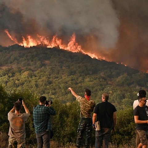 LIVE: Νέο μέτωπο στην Πάρνηθα, προσαγωγές υπόπτων-Μεγάλες διαστάσεις στον Έβρο