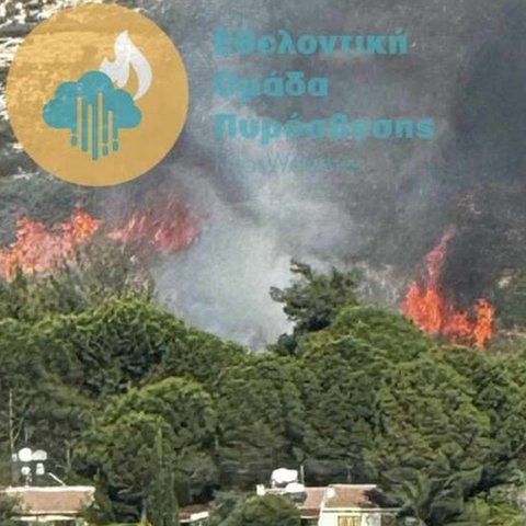 Νέα πυρκαγιά στη Λεμεσό έθεσε σε κινητοποίηση την Πυροσβεστική (pic)