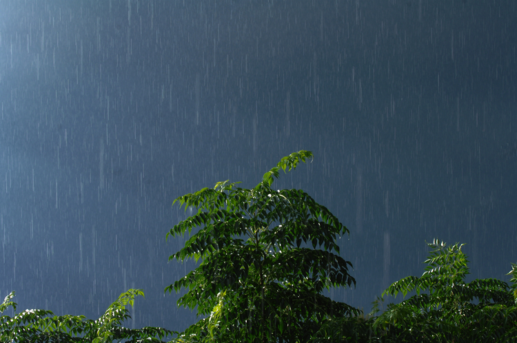 d3d74bbd-7a2c-42d0-bcfb-8c455c906f69.jpg