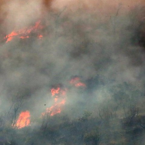 Σε ενεργό μέτωπο από τη Δαδιά προς την Κοτρωνιά η κυπριακή αποστολή