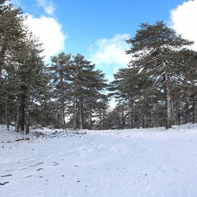 Βροχές, χιόνια και τσουχτερό κρύο στο καιρικό μενού