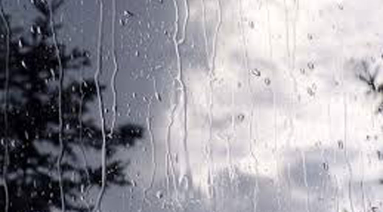 2ad411df-32e2-4ac6-9f2d-8722e0d4d88f.jpg