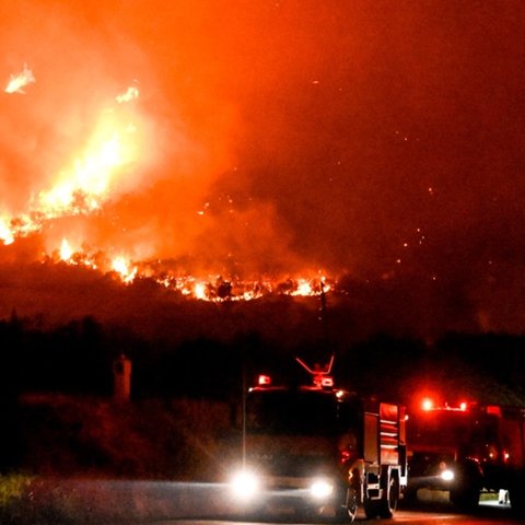 Ανεξέλεγκτη παραμένει η φωτιά στον Έβρο-Οι άνεμοι την έστρεψαν στον μικρό πυρήνα του δάσους