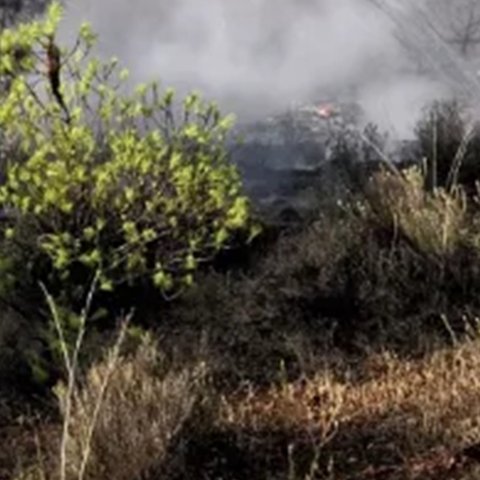 Πυρκαγιά σε ξηρά χόρτα στα Κούκλια-Επιστρατεύτηκαν δύο πτητικά μέσα