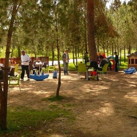 Απαντά στην Ελεγκτική το Τμήμα Δασών-«Τα δύο έργα εξυπηρετούν κοινωφελείς σκοπούς»