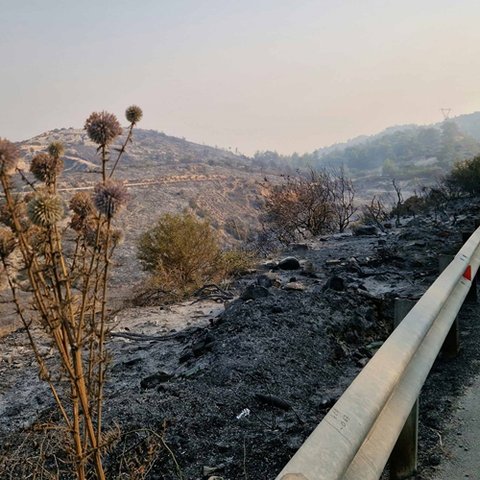 Χωρίς ηλεκτροδότηση δεκαέξι χωριά λόγω της φονικής πυρκαγιάς-«Πολύ δύσκολο το έργο»