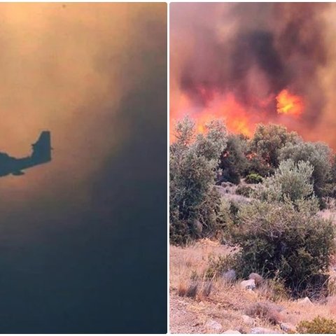 Σκληρές μάχες σε τέσσερα πύρινα μέτωπα στην Ελλάδα-Εντολές για εκκενώσεις, τραυματίστηκαν πυροσβέστες