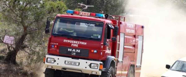 afd67daf-f67b-4f84-a2c1-4824cea9f74f.jpg