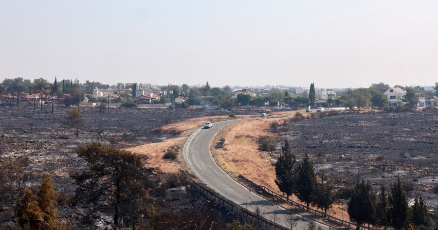 Τουλάχιστον πενήντα νεκρά ζώα φάρμας από τις πυρκαγιές στη Λεμεσό-Συνεχίζεται η καταμέτρηση