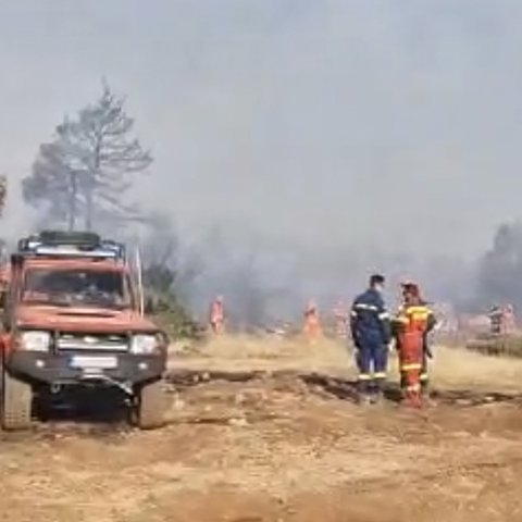 Η κυπριακή αποστολή επιχειρεί σε νέα πυρκαγιά στην περιοχή Γραμματικού