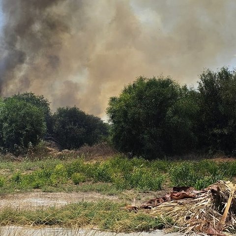 Περιορίζεται η αναζωπύρωση στη Σίμου-Σε επιφυλακή οι δυνάμεις πυρόσβεσης