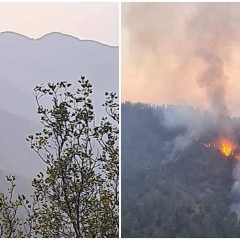 Μάχη των επίγειων δυνάμεων στο Δάσος της Πάφου-Στήνεται συντονιστικό κέντρο