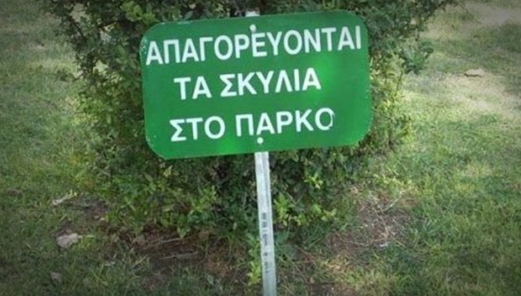 687f40f1-d849-42e1-98b4-98e46b7afda5.jpg