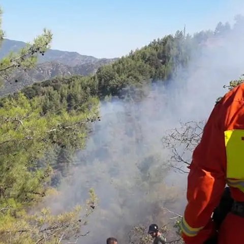 Κατέκαψε άγρια βλάστηση φωτιά στον Άγιο Μάμα στη Λεμεσό