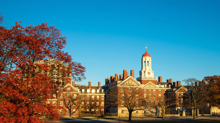 harvard-university
