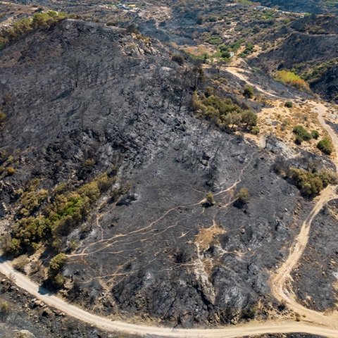 ΒΙΝΤΕΟ: Καταστροφές σε 43 κτίρια από την πυρκαγιά στη Σμύρνη-Υπό έλεγχο η πυρκαγιά