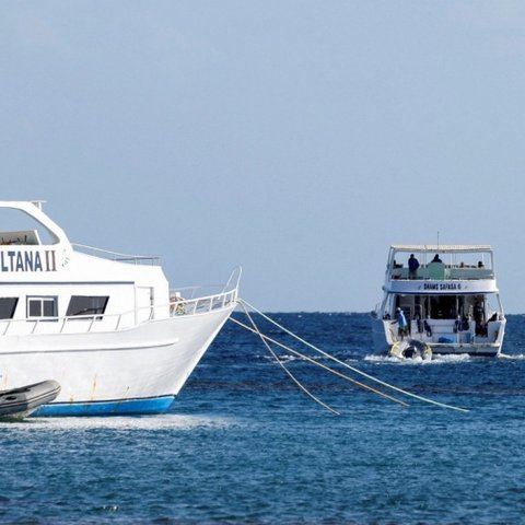 Ανασύρθηκε άλλη μια σορός από το ναυάγιο στην Ερυθρά Θάλασσα-Εννέα οι αγνοούμενοι