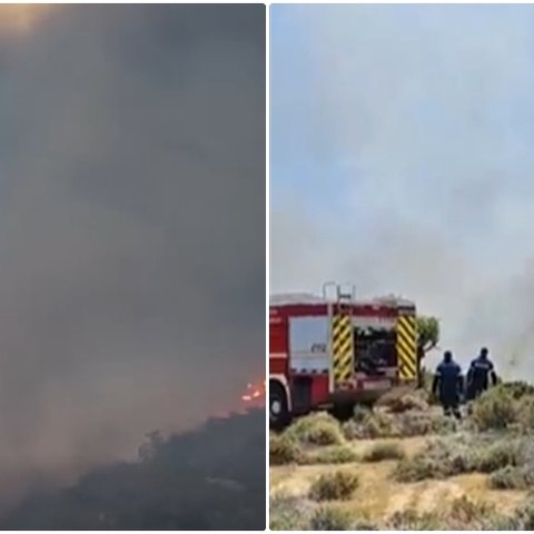 ΒΙΝΤΕΟ: Κατευθύνεται προς τον υδατοφράκτη Άλασσας η φωτιά-Ζημιές σε κτηνοτροφικά υποστατικά