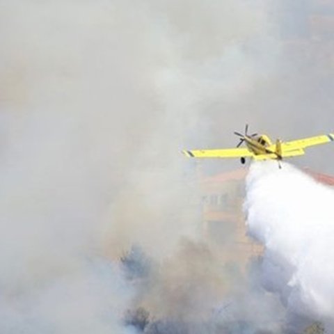 Στο τελικό στάδιο η αύξηση των ποινών στους εμπρηστές των δασών-Δύσκολη εξίσωση τα πυροτεχνήματα