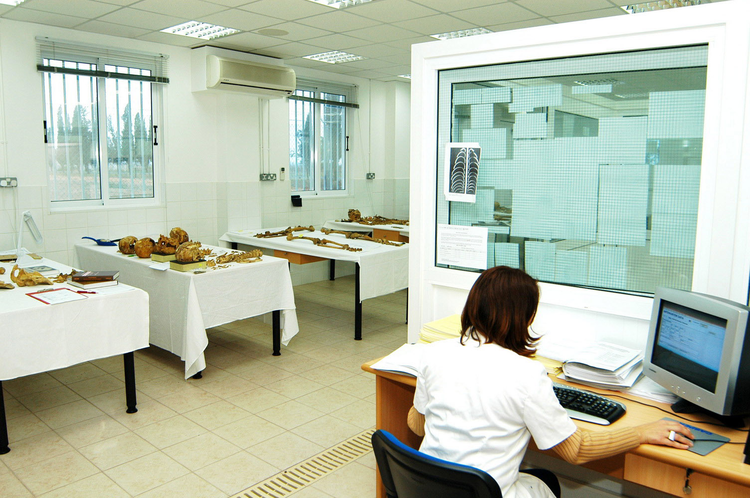 5c0fb209-643e-482b-afdb-bb51523eebde.jpg