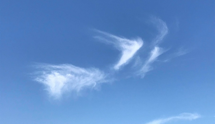 f35e19c7-d98e-443e-b02b-bc0563309de6.jpg
