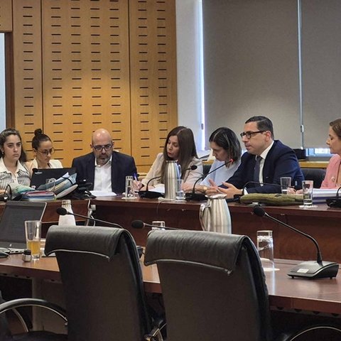 Εθνικός στόχος το Σένγκεν, όχι «σκληρό σύνορο» η Πράσινη Γραμμή-Τα οφέλη για τους πολίτες και την οικονομία
