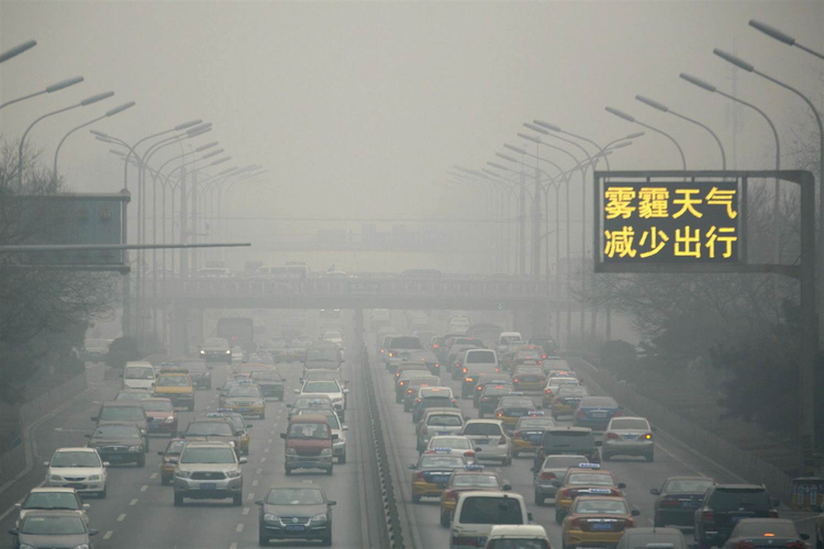 83a94ff6-ab2c-4dde-b096-e260715d5e11.jpg