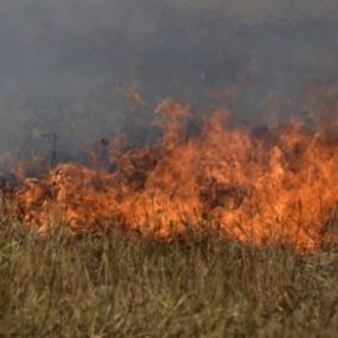 Πυρκαγιά σε δύσβατη περιοχή μεταξύ των κοινοτήτων Άρσους και Ομόδους