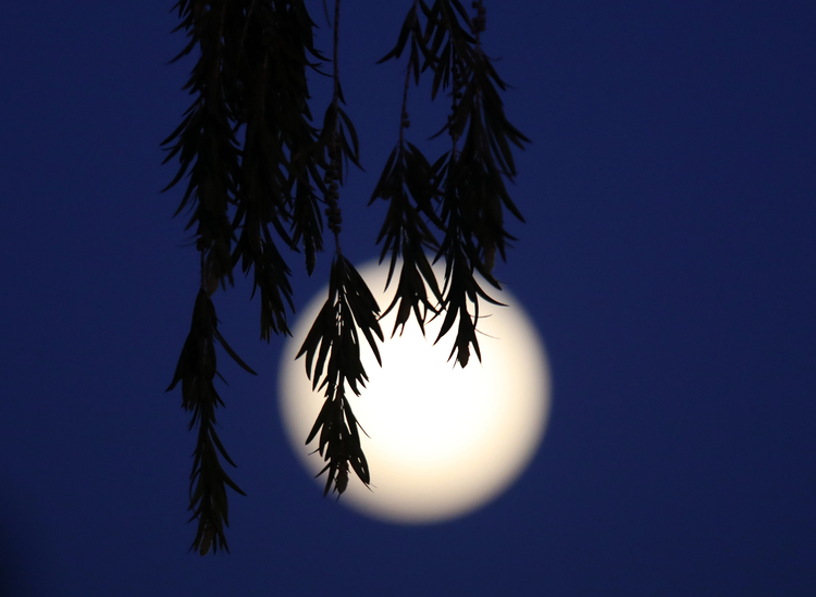 c0de1757-5bcc-4e4f-92c5-6d86f445da8a.jpg