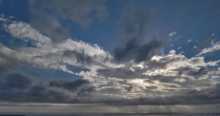 9c4bddf5-500d-4c16-bee4-61cf9cfe724d.jpg